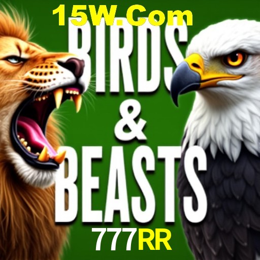 Apostas Esportivas na 777RR: Um Guia Completo